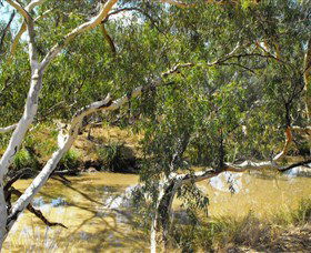 Quilberry Creek Fishing - Accommodation Sunshine Coast 0