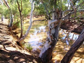 Quilberry Creek Fishing - Accommodation Sunshine Coast 1