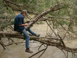 Quilberry Creek Fishing - Accommodation Sunshine Coast 3