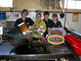 Melba's Chocolate And Confectionery Factory - Accommodation Sunshine Coast 1