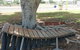 Barcaldine Musical Instruments - thumb 0