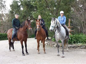 Academy Of Dressage - Accommodation Sunshine Coast 0