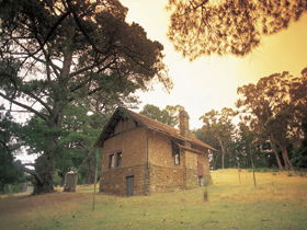 Heysen - The Cedars - Accommodation Sunshine Coast 0