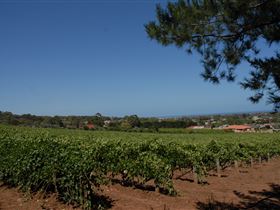 Grancari - Accommodation Sunshine Coast 0