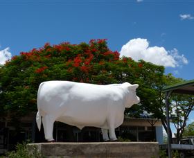 Aramac - The White Bull - Accommodation Sunshine Coast 1