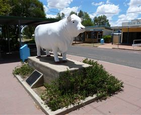 Aramac - The White Bull - Accommodation Sunshine Coast 2