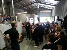 Prancing Pony Brewery - Accommodation Sunshine Coast 2