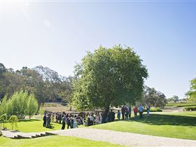 Howard Vineyard - Accommodation Sunshine Coast 1