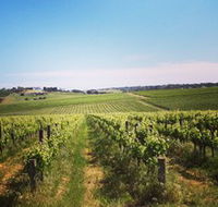 Adelaide Winemakers - Accommodation Sunshine Coast