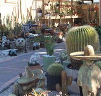 Cactus Creations - Accommodation Sunshine Coast