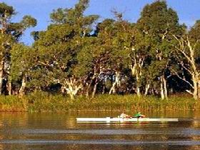 Martin Bend Reserve - Accommodation Sunshine Coast 0