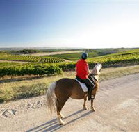Kidman Trail - Accommodation Sunshine Coast