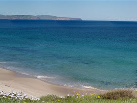 Carrickalinga Beach - Accommodation Sunshine Coast 1