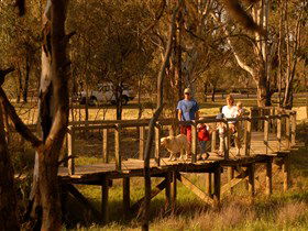Loxton's Drives, Walks And Trails - Accommodation Sunshine Coast 0