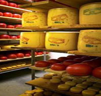 Alexandrina Cheese Company - Accommodation Sunshine Coast