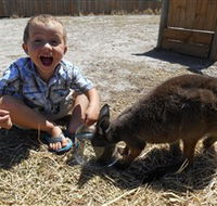 Animal Farm Goolwa - Accommodation Sunshine Coast