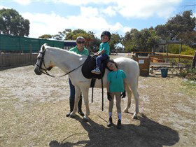 Animal Farm Goolwa - Accommodation Sunshine Coast 2