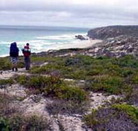 Murray Lagoon - Cape Gantheaume Conservation Park - Accommodation Sunshine Coast