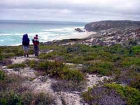 Murray Lagoon - Cape Gantheaume Conservation Park - Accommodation Sunshine Coast 0