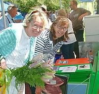 Victor Harbor Farmers Market - Accommodation Sunshine Coast