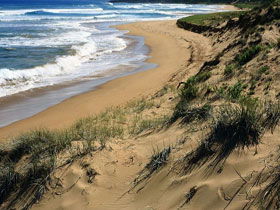  Accommodation Sunshine Coast