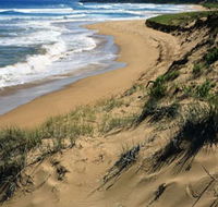 Newland Head Conservation Park - Accommodation Sunshine Coast
