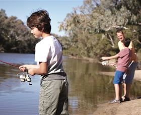 Wyandra Beach - Accommodation Sunshine Coast 0