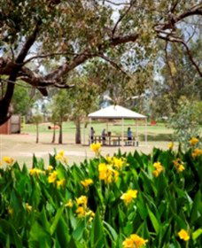 Charleville - Graham Andrews Parklands - Accommodation Sunshine Coast 0