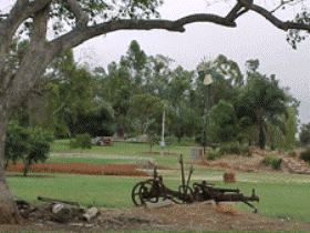 Charleville - Graham Andrews Parklands - Accommodation Sunshine Coast 2