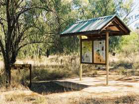 Charleville QLD Accommodation Sunshine Coast