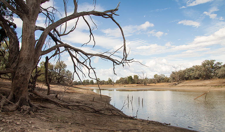 Hungerford NSW Accommodation Sunshine Coast