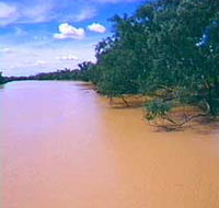 Warrego River - Accommodation Sunshine Coast