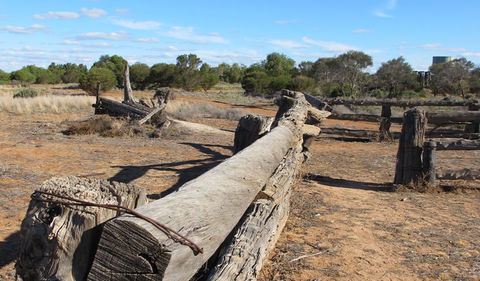 Zanci Pastoral Loop - Accommodation Sunshine Coast 0