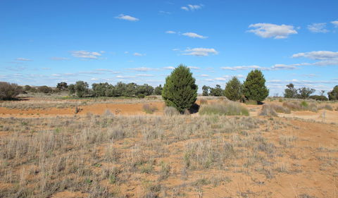 Zanci Pastoral Loop - Accommodation Sunshine Coast 3