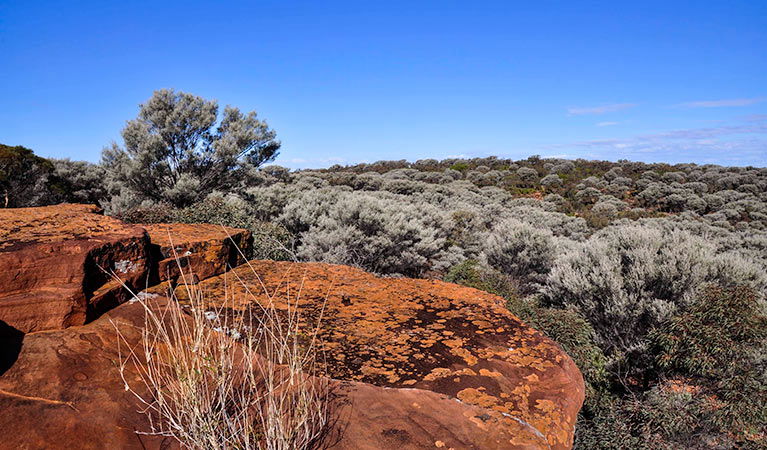 Canbelego NSW Accommodation Sunshine Coast