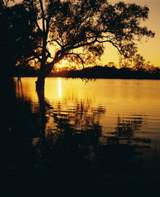 Nichols Point VIC Accommodation Sunshine Coast