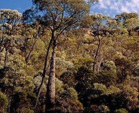 Ka Ka Mundi, Carnarvon National Park - Accommodation Sunshine Coast 0