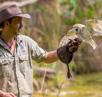 Territory Wildlife Park - Accommodation Sunshine Coast