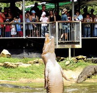 Crocodylus Park - Accommodation Sunshine Coast