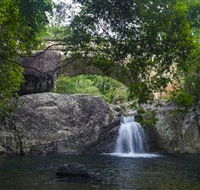 Paluma and Crystal Creek Rainforest - Accommodation Sunshine Coast