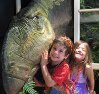 Australian Opal Centre - Accommodation Sunshine Coast