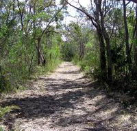 Lanky's Walk - Accommodation Sunshine Coast