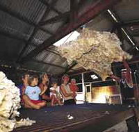 Shear Outback the Australian Shearers Hall of Fame - Accommodation Sunshine Coast