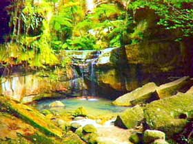 Carnarvon Gorge, Carnarvon National Park - Accommodation Sunshine Coast 0