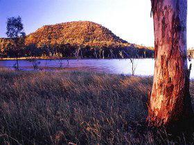 Nuga Nuga National Park And Lake Nuga Nuga - Accommodation Sunshine Coast 2