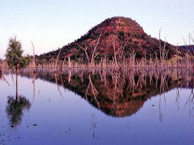 Nuga Nuga National Park And Lake Nuga Nuga - Accommodation Sunshine Coast 3