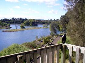 Lake McIntyre - Accommodation Sunshine Coast 0