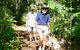 Wongabel State Forest - thumb 0