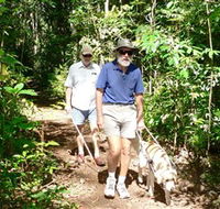 Wongabel State Forest - Accommodation Sunshine Coast