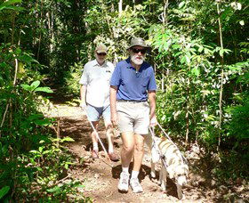 Wongabel State Forest - Accommodation Sunshine Coast 0